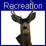 Recreation List Marketing