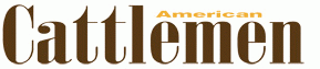 American Cattlemen